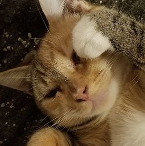 Meet your Posher, Tina